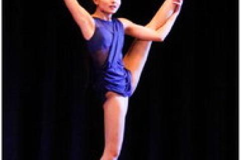 Article Image Alt Text