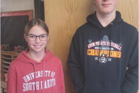 Article Image Alt Text