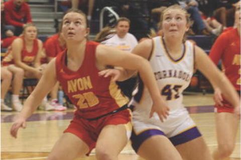 Article Image Alt Text