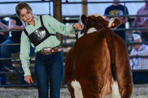 Article Image Alt Text