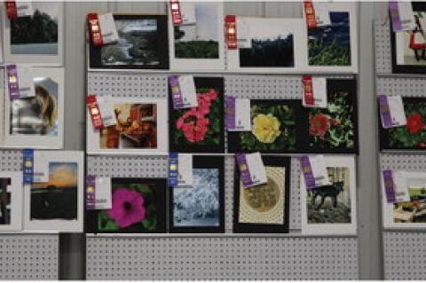 4-H ACHIEVEMENT DAYS HELD