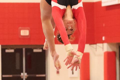 Article Image Alt Text