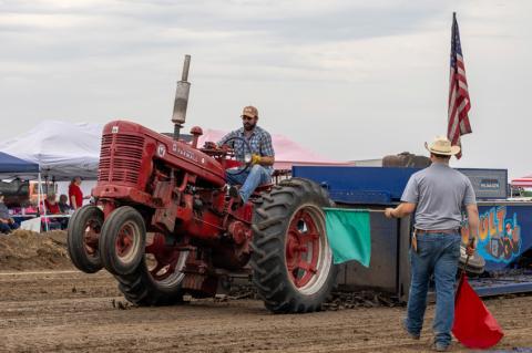 Article Image Alt Text