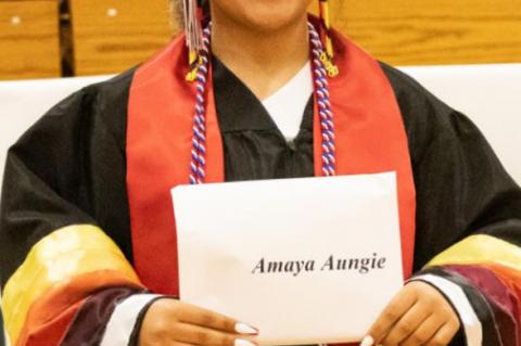 Article Image Alt Text