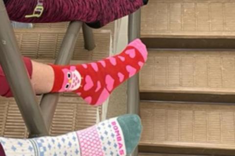 Article Image Alt Text