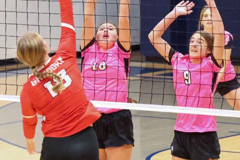 Article Image Alt Text