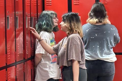 Article Image Alt Text