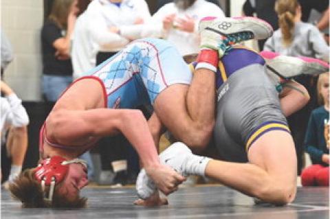 Article Image Alt Text