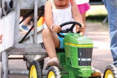 Article Image Alt Text