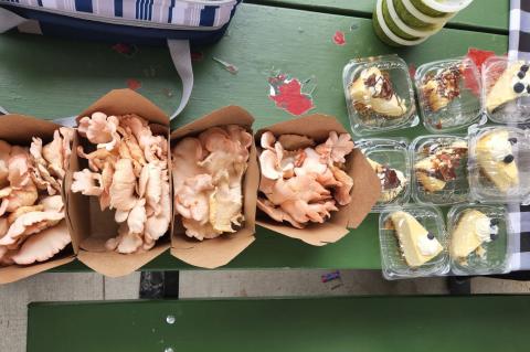 Article Image Alt Text