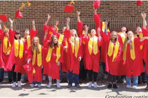 Article Image Alt Text