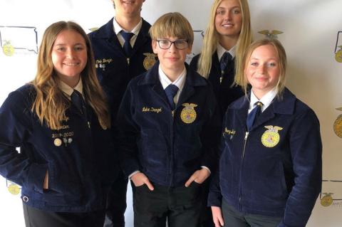 Article Image Alt Text