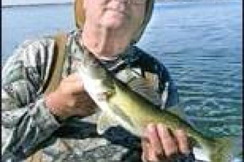 I AM BULLISH WHEN IT COMES TO OUR SECOND AMENDMEN