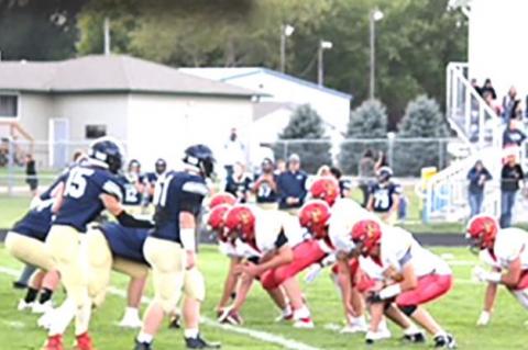 Article Image Alt Text