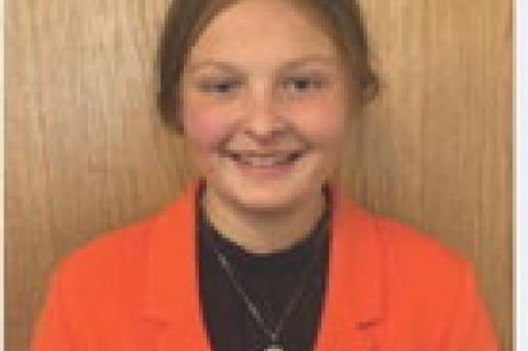 Article Image Alt Text