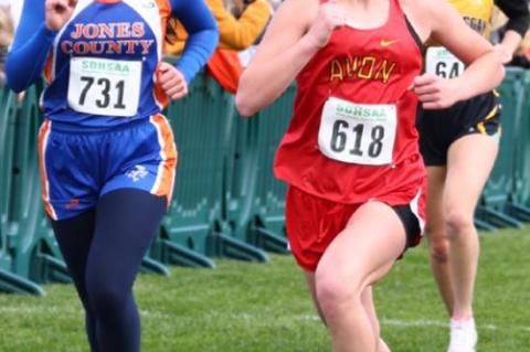 Article Image Alt Text