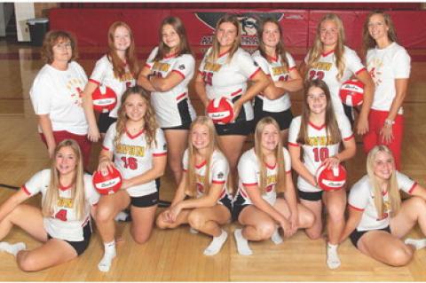 Article Image Alt Text