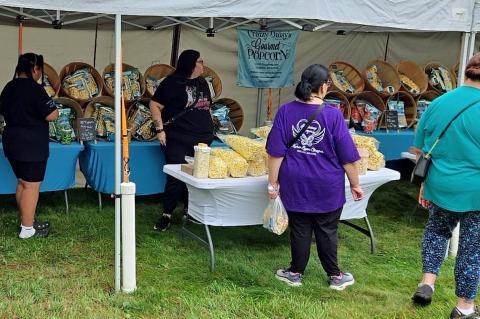 LABOR DAY FESTIVAL IN THE PARK