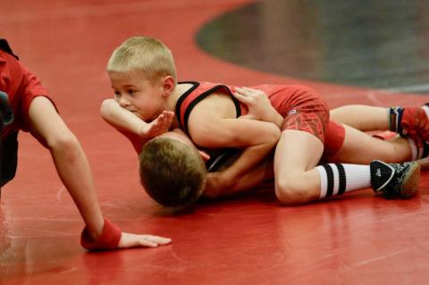 Article Image Alt Text