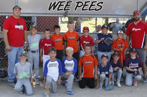 ALL STAR BASEBALL GAME