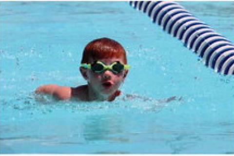 Article Image Alt Text