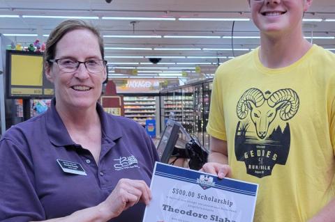 Article Image Alt Text