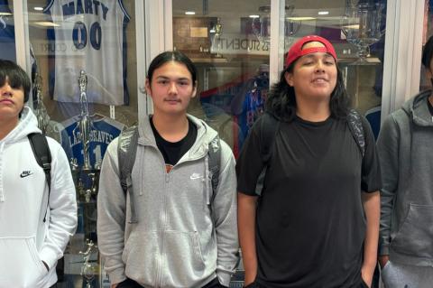 Article Image Alt Text