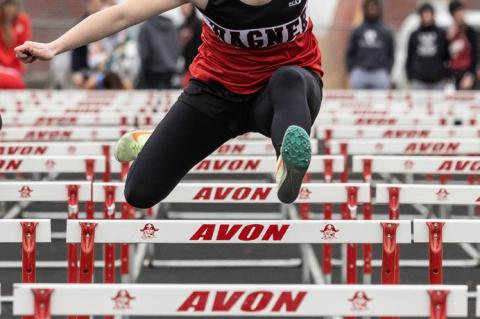 Article Image Alt Text