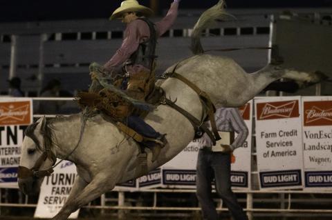 Article Image Alt Text