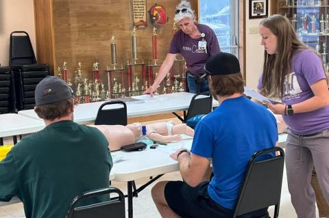 Article Image Alt Text