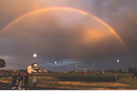 Article Image Alt Text