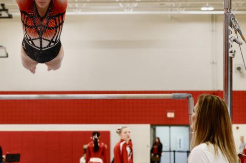 Article Image Alt Text