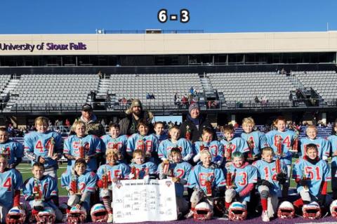 Article Image Alt Text