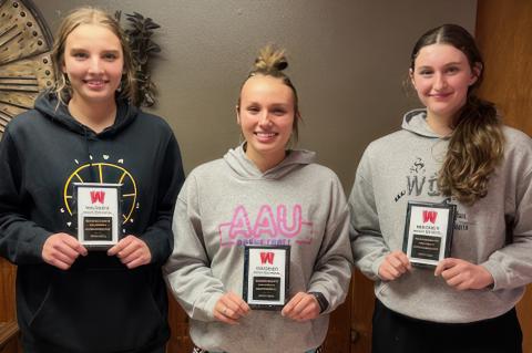 Article Image Alt Text