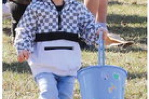 Article Image Alt Text