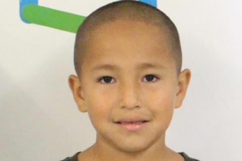 Article Image Alt Text