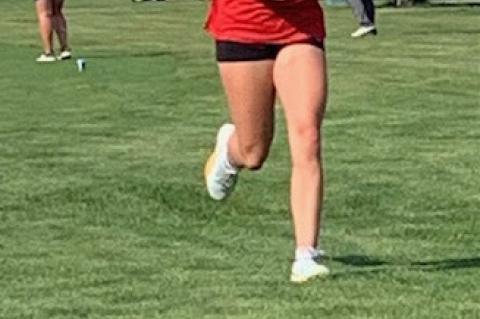 Article Image Alt Text