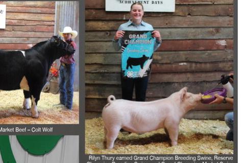 Rilyn Thury earned Grand Champion Breeding Swine, Reserve Champion Breeding Swine, and Grand Champion Market Swine.