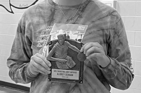 Article Image Alt Text