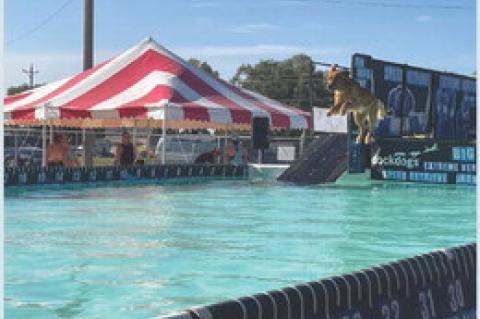 DOCK DOGS AT MCCORMICK PARK
