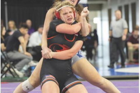 Article Image Alt Text