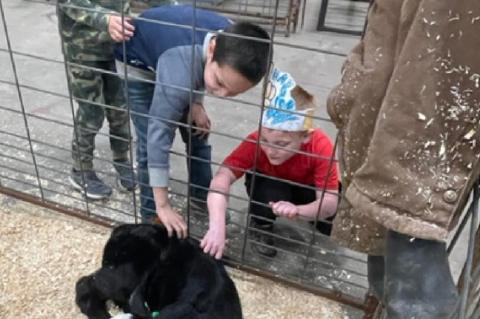 CELEBRATING FFA WEEK