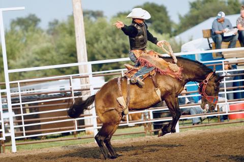 Article Image Alt Text