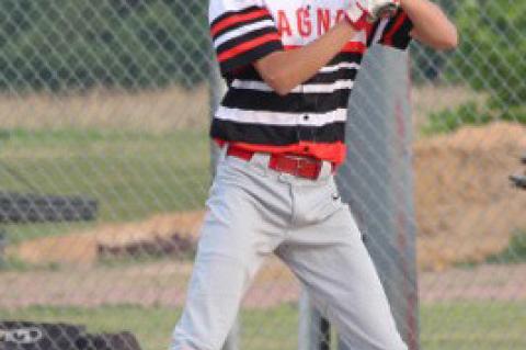 Article Image Alt Text