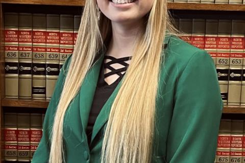 Article Image Alt Text