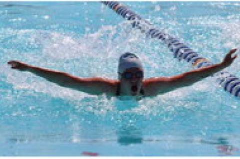 Article Image Alt Text