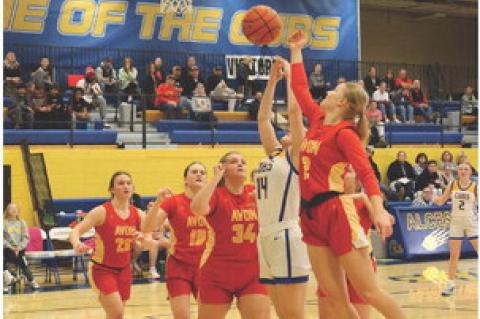 Article Image Alt Text