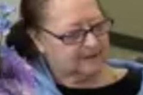 Article Image Alt Text