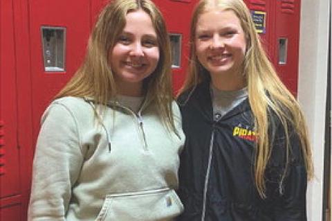 Article Image Alt Text