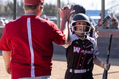 Article Image Alt Text